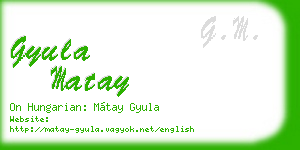 gyula matay business card