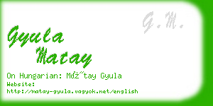 gyula matay business card